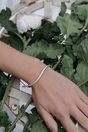 
                  
                    Load image into Gallery viewer, Silver Wavy Sparkly Tube Bangle
                  
                